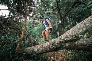 BIB: 
                            <button type="button" onclick="openModal(25528270)" class="btn btn-primary btn-sm float-right btn-popup" data-toggle="modal" data-target=".modal-high-quality">
                        <i class="fas fa-shopping-cart"></i> Add to Cart
                    </button>
                                            <button type="button" onclick="isThisMe(25528270, true)" class="btn btn-success btn-sm float-right btn-popup btn-isme hidden" data-toggle="tooltip" data-placement="bottom" title="นี่คือรูปของคุณใช่ไหม คลิกที่นี่เพื่อเอาเข้าอัลบั้ม">
                        <i class="fas fa-plus"></i> Add to album
                    </button>
                    <button type="button" onclick="isThisMe(25528270, false)" class="btn btn-warning btn-sm float-right btn-popup btn-isnotme hidden">
                        <i class="fas fa-ban"></i> Remove from album
                    </button>