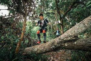 BIB: 
                            <button type="button" onclick="openModal(25527398)" class="btn btn-primary btn-sm float-right btn-popup" data-toggle="modal" data-target=".modal-high-quality">
                        <i class="fas fa-shopping-cart"></i> Add to Cart
                    </button>
                                            <button type="button" onclick="isThisMe(25527398, true)" class="btn btn-success btn-sm float-right btn-popup btn-isme hidden" data-toggle="tooltip" data-placement="bottom" title="นี่คือรูปของคุณใช่ไหม คลิกที่นี่เพื่อเอาเข้าอัลบั้ม">
                        <i class="fas fa-plus"></i> Add to album
                    </button>
                    <button type="button" onclick="isThisMe(25527398, false)" class="btn btn-warning btn-sm float-right btn-popup btn-isnotme hidden">
                        <i class="fas fa-ban"></i> Remove from album
                    </button>