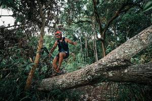 BIB: 
                            <button type="button" onclick="openModal(25527897)" class="btn btn-primary btn-sm float-right btn-popup" data-toggle="modal" data-target=".modal-high-quality">
                        <i class="fas fa-shopping-cart"></i> Add to Cart
                    </button>
                                            <button type="button" onclick="isThisMe(25527897, true)" class="btn btn-success btn-sm float-right btn-popup btn-isme hidden" data-toggle="tooltip" data-placement="bottom" title="นี่คือรูปของคุณใช่ไหม คลิกที่นี่เพื่อเอาเข้าอัลบั้ม">
                        <i class="fas fa-plus"></i> Add to album
                    </button>
                    <button type="button" onclick="isThisMe(25527897, false)" class="btn btn-warning btn-sm float-right btn-popup btn-isnotme hidden">
                        <i class="fas fa-ban"></i> Remove from album
                    </button>