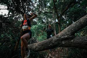 BIB: 
                            <button type="button" onclick="openModal(25526091)" class="btn btn-primary btn-sm float-right btn-popup" data-toggle="modal" data-target=".modal-high-quality">
                        <i class="fas fa-shopping-cart"></i> Add to Cart
                    </button>
                                            <button type="button" onclick="isThisMe(25526091, true)" class="btn btn-success btn-sm float-right btn-popup btn-isme hidden" data-toggle="tooltip" data-placement="bottom" title="นี่คือรูปของคุณใช่ไหม คลิกที่นี่เพื่อเอาเข้าอัลบั้ม">
                        <i class="fas fa-plus"></i> Add to album
                    </button>
                    <button type="button" onclick="isThisMe(25526091, false)" class="btn btn-warning btn-sm float-right btn-popup btn-isnotme hidden">
                        <i class="fas fa-ban"></i> Remove from album
                    </button>