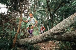 BIB: 
                            <button type="button" onclick="openModal(25544734)" class="btn btn-primary btn-sm float-right btn-popup" data-toggle="modal" data-target=".modal-high-quality">
                        <i class="fas fa-shopping-cart"></i> Add to Cart
                    </button>
                                            <button type="button" onclick="isThisMe(25544734, true)" class="btn btn-success btn-sm float-right btn-popup btn-isme hidden" data-toggle="tooltip" data-placement="bottom" title="นี่คือรูปของคุณใช่ไหม คลิกที่นี่เพื่อเอาเข้าอัลบั้ม">
                        <i class="fas fa-plus"></i> Add to album
                    </button>
                    <button type="button" onclick="isThisMe(25544734, false)" class="btn btn-warning btn-sm float-right btn-popup btn-isnotme hidden">
                        <i class="fas fa-ban"></i> Remove from album
                    </button>