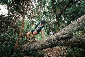 BIB: 
                            <button type="button" onclick="openModal(25531832)" class="btn btn-primary btn-sm float-right btn-popup" data-toggle="modal" data-target=".modal-high-quality">
                        <i class="fas fa-shopping-cart"></i> Add to Cart
                    </button>
                                            <button type="button" onclick="isThisMe(25531832, true)" class="btn btn-success btn-sm float-right btn-popup btn-isme hidden" data-toggle="tooltip" data-placement="bottom" title="นี่คือรูปของคุณใช่ไหม คลิกที่นี่เพื่อเอาเข้าอัลบั้ม">
                        <i class="fas fa-plus"></i> Add to album
                    </button>
                    <button type="button" onclick="isThisMe(25531832, false)" class="btn btn-warning btn-sm float-right btn-popup btn-isnotme hidden">
                        <i class="fas fa-ban"></i> Remove from album
                    </button>