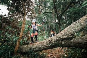 BIB: 
                            <button type="button" onclick="openModal(25547725)" class="btn btn-primary btn-sm float-right btn-popup" data-toggle="modal" data-target=".modal-high-quality">
                        <i class="fas fa-shopping-cart"></i> Add to Cart
                    </button>
                                            <button type="button" onclick="isThisMe(25547725, true)" class="btn btn-success btn-sm float-right btn-popup btn-isme hidden" data-toggle="tooltip" data-placement="bottom" title="นี่คือรูปของคุณใช่ไหม คลิกที่นี่เพื่อเอาเข้าอัลบั้ม">
                        <i class="fas fa-plus"></i> Add to album
                    </button>
                    <button type="button" onclick="isThisMe(25547725, false)" class="btn btn-warning btn-sm float-right btn-popup btn-isnotme hidden">
                        <i class="fas fa-ban"></i> Remove from album
                    </button>