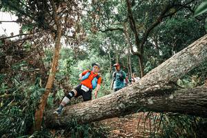 BIB: 
                            <button type="button" onclick="openModal(25545692)" class="btn btn-primary btn-sm float-right btn-popup" data-toggle="modal" data-target=".modal-high-quality">
                        <i class="fas fa-shopping-cart"></i> Add to Cart
                    </button>
                                            <button type="button" onclick="isThisMe(25545692, true)" class="btn btn-success btn-sm float-right btn-popup btn-isme hidden" data-toggle="tooltip" data-placement="bottom" title="นี่คือรูปของคุณใช่ไหม คลิกที่นี่เพื่อเอาเข้าอัลบั้ม">
                        <i class="fas fa-plus"></i> Add to album
                    </button>
                    <button type="button" onclick="isThisMe(25545692, false)" class="btn btn-warning btn-sm float-right btn-popup btn-isnotme hidden">
                        <i class="fas fa-ban"></i> Remove from album
                    </button>