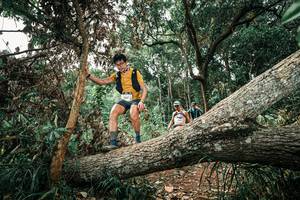 BIB: 
                            <button type="button" onclick="openModal(25539124)" class="btn btn-primary btn-sm float-right btn-popup" data-toggle="modal" data-target=".modal-high-quality">
                        <i class="fas fa-shopping-cart"></i> Add to Cart
                    </button>
                                            <button type="button" onclick="isThisMe(25539124, true)" class="btn btn-success btn-sm float-right btn-popup btn-isme hidden" data-toggle="tooltip" data-placement="bottom" title="นี่คือรูปของคุณใช่ไหม คลิกที่นี่เพื่อเอาเข้าอัลบั้ม">
                        <i class="fas fa-plus"></i> Add to album
                    </button>
                    <button type="button" onclick="isThisMe(25539124, false)" class="btn btn-warning btn-sm float-right btn-popup btn-isnotme hidden">
                        <i class="fas fa-ban"></i> Remove from album
                    </button>