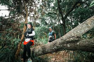 BIB: 
                            <button type="button" onclick="openModal(25552368)" class="btn btn-primary btn-sm float-right btn-popup" data-toggle="modal" data-target=".modal-high-quality">
                        <i class="fas fa-shopping-cart"></i> Add to Cart
                    </button>
                                            <button type="button" onclick="isThisMe(25552368, true)" class="btn btn-success btn-sm float-right btn-popup btn-isme hidden" data-toggle="tooltip" data-placement="bottom" title="นี่คือรูปของคุณใช่ไหม คลิกที่นี่เพื่อเอาเข้าอัลบั้ม">
                        <i class="fas fa-plus"></i> Add to album
                    </button>
                    <button type="button" onclick="isThisMe(25552368, false)" class="btn btn-warning btn-sm float-right btn-popup btn-isnotme hidden">
                        <i class="fas fa-ban"></i> Remove from album
                    </button>