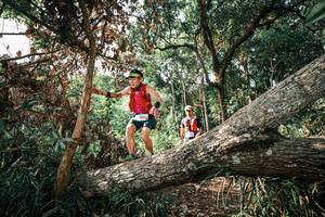 BIB: 
                            <button type="button" onclick="openModal(25535202)" class="btn btn-primary btn-sm float-right btn-popup" data-toggle="modal" data-target=".modal-high-quality">
                        <i class="fas fa-shopping-cart"></i> Add to Cart
                    </button>
                                            <button type="button" onclick="isThisMe(25535202, true)" class="btn btn-success btn-sm float-right btn-popup btn-isme hidden" data-toggle="tooltip" data-placement="bottom" title="นี่คือรูปของคุณใช่ไหม คลิกที่นี่เพื่อเอาเข้าอัลบั้ม">
                        <i class="fas fa-plus"></i> Add to album
                    </button>
                    <button type="button" onclick="isThisMe(25535202, false)" class="btn btn-warning btn-sm float-right btn-popup btn-isnotme hidden">
                        <i class="fas fa-ban"></i> Remove from album
                    </button>