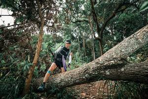 BIB: 
                            <button type="button" onclick="openModal(25544331)" class="btn btn-primary btn-sm float-right btn-popup" data-toggle="modal" data-target=".modal-high-quality">
                        <i class="fas fa-shopping-cart"></i> Add to Cart
                    </button>
                                            <button type="button" onclick="isThisMe(25544331, true)" class="btn btn-success btn-sm float-right btn-popup btn-isme hidden" data-toggle="tooltip" data-placement="bottom" title="นี่คือรูปของคุณใช่ไหม คลิกที่นี่เพื่อเอาเข้าอัลบั้ม">
                        <i class="fas fa-plus"></i> Add to album
                    </button>
                    <button type="button" onclick="isThisMe(25544331, false)" class="btn btn-warning btn-sm float-right btn-popup btn-isnotme hidden">
                        <i class="fas fa-ban"></i> Remove from album
                    </button>