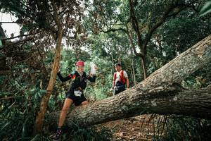 BIB: 
                            <button type="button" onclick="openModal(25549091)" class="btn btn-primary btn-sm float-right btn-popup" data-toggle="modal" data-target=".modal-high-quality">
                        <i class="fas fa-shopping-cart"></i> Add to Cart
                    </button>
                                            <button type="button" onclick="isThisMe(25549091, true)" class="btn btn-success btn-sm float-right btn-popup btn-isme hidden" data-toggle="tooltip" data-placement="bottom" title="นี่คือรูปของคุณใช่ไหม คลิกที่นี่เพื่อเอาเข้าอัลบั้ม">
                        <i class="fas fa-plus"></i> Add to album
                    </button>
                    <button type="button" onclick="isThisMe(25549091, false)" class="btn btn-warning btn-sm float-right btn-popup btn-isnotme hidden">
                        <i class="fas fa-ban"></i> Remove from album
                    </button>