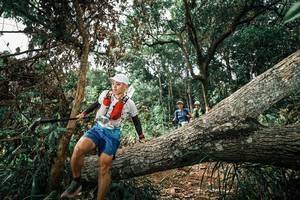 BIB: 
                            <button type="button" onclick="openModal(25549354)" class="btn btn-primary btn-sm float-right btn-popup" data-toggle="modal" data-target=".modal-high-quality">
                        <i class="fas fa-shopping-cart"></i> Add to Cart
                    </button>
                                            <button type="button" onclick="isThisMe(25549354, true)" class="btn btn-success btn-sm float-right btn-popup btn-isme hidden" data-toggle="tooltip" data-placement="bottom" title="นี่คือรูปของคุณใช่ไหม คลิกที่นี่เพื่อเอาเข้าอัลบั้ม">
                        <i class="fas fa-plus"></i> Add to album
                    </button>
                    <button type="button" onclick="isThisMe(25549354, false)" class="btn btn-warning btn-sm float-right btn-popup btn-isnotme hidden">
                        <i class="fas fa-ban"></i> Remove from album
                    </button>