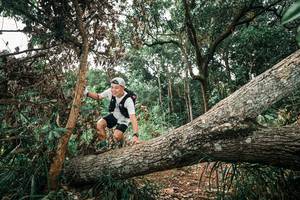 BIB: 
                            <button type="button" onclick="openModal(25547872)" class="btn btn-primary btn-sm float-right btn-popup" data-toggle="modal" data-target=".modal-high-quality">
                        <i class="fas fa-shopping-cart"></i> Add to Cart
                    </button>
                                            <button type="button" onclick="isThisMe(25547872, true)" class="btn btn-success btn-sm float-right btn-popup btn-isme hidden" data-toggle="tooltip" data-placement="bottom" title="นี่คือรูปของคุณใช่ไหม คลิกที่นี่เพื่อเอาเข้าอัลบั้ม">
                        <i class="fas fa-plus"></i> Add to album
                    </button>
                    <button type="button" onclick="isThisMe(25547872, false)" class="btn btn-warning btn-sm float-right btn-popup btn-isnotme hidden">
                        <i class="fas fa-ban"></i> Remove from album
                    </button>