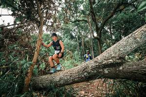 BIB: 
                            <button type="button" onclick="openModal(25544801)" class="btn btn-primary btn-sm float-right btn-popup" data-toggle="modal" data-target=".modal-high-quality">
                        <i class="fas fa-shopping-cart"></i> Add to Cart
                    </button>
                                            <button type="button" onclick="isThisMe(25544801, true)" class="btn btn-success btn-sm float-right btn-popup btn-isme hidden" data-toggle="tooltip" data-placement="bottom" title="นี่คือรูปของคุณใช่ไหม คลิกที่นี่เพื่อเอาเข้าอัลบั้ม">
                        <i class="fas fa-plus"></i> Add to album
                    </button>
                    <button type="button" onclick="isThisMe(25544801, false)" class="btn btn-warning btn-sm float-right btn-popup btn-isnotme hidden">
                        <i class="fas fa-ban"></i> Remove from album
                    </button>