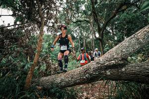 BIB: 
                            <button type="button" onclick="openModal(25530841)" class="btn btn-primary btn-sm float-right btn-popup" data-toggle="modal" data-target=".modal-high-quality">
                        <i class="fas fa-shopping-cart"></i> Add to Cart
                    </button>
                                            <button type="button" onclick="isThisMe(25530841, true)" class="btn btn-success btn-sm float-right btn-popup btn-isme hidden" data-toggle="tooltip" data-placement="bottom" title="นี่คือรูปของคุณใช่ไหม คลิกที่นี่เพื่อเอาเข้าอัลบั้ม">
                        <i class="fas fa-plus"></i> Add to album
                    </button>
                    <button type="button" onclick="isThisMe(25530841, false)" class="btn btn-warning btn-sm float-right btn-popup btn-isnotme hidden">
                        <i class="fas fa-ban"></i> Remove from album
                    </button>