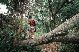 BIB: 
                            <button type="button" onclick="openModal(25529702)" class="btn btn-primary btn-sm float-right btn-popup" data-toggle="modal" data-target=".modal-high-quality">
                        <i class="fas fa-shopping-cart"></i> Add to Cart
                    </button>
                                            <button type="button" onclick="isThisMe(25529702, true)" class="btn btn-success btn-sm float-right btn-popup btn-isme hidden" data-toggle="tooltip" data-placement="bottom" title="นี่คือรูปของคุณใช่ไหม คลิกที่นี่เพื่อเอาเข้าอัลบั้ม">
                        <i class="fas fa-plus"></i> Add to album
                    </button>
                    <button type="button" onclick="isThisMe(25529702, false)" class="btn btn-warning btn-sm float-right btn-popup btn-isnotme hidden">
                        <i class="fas fa-ban"></i> Remove from album
                    </button>