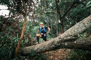 BIB: 
                            <button type="button" onclick="openModal(25544236)" class="btn btn-primary btn-sm float-right btn-popup" data-toggle="modal" data-target=".modal-high-quality">
                        <i class="fas fa-shopping-cart"></i> Add to Cart
                    </button>
                                            <button type="button" onclick="isThisMe(25544236, true)" class="btn btn-success btn-sm float-right btn-popup btn-isme hidden" data-toggle="tooltip" data-placement="bottom" title="นี่คือรูปของคุณใช่ไหม คลิกที่นี่เพื่อเอาเข้าอัลบั้ม">
                        <i class="fas fa-plus"></i> Add to album
                    </button>
                    <button type="button" onclick="isThisMe(25544236, false)" class="btn btn-warning btn-sm float-right btn-popup btn-isnotme hidden">
                        <i class="fas fa-ban"></i> Remove from album
                    </button>