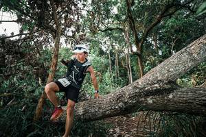 BIB: 
                            <button type="button" onclick="openModal(25528727)" class="btn btn-primary btn-sm float-right btn-popup" data-toggle="modal" data-target=".modal-high-quality">
                        <i class="fas fa-shopping-cart"></i> Add to Cart
                    </button>
                                            <button type="button" onclick="isThisMe(25528727, true)" class="btn btn-success btn-sm float-right btn-popup btn-isme hidden" data-toggle="tooltip" data-placement="bottom" title="นี่คือรูปของคุณใช่ไหม คลิกที่นี่เพื่อเอาเข้าอัลบั้ม">
                        <i class="fas fa-plus"></i> Add to album
                    </button>
                    <button type="button" onclick="isThisMe(25528727, false)" class="btn btn-warning btn-sm float-right btn-popup btn-isnotme hidden">
                        <i class="fas fa-ban"></i> Remove from album
                    </button>