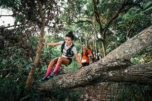 BIB: 
                            <button type="button" onclick="openModal(25527107)" class="btn btn-primary btn-sm float-right btn-popup" data-toggle="modal" data-target=".modal-high-quality">
                        <i class="fas fa-shopping-cart"></i> Add to Cart
                    </button>
                                            <button type="button" onclick="isThisMe(25527107, true)" class="btn btn-success btn-sm float-right btn-popup btn-isme hidden" data-toggle="tooltip" data-placement="bottom" title="นี่คือรูปของคุณใช่ไหม คลิกที่นี่เพื่อเอาเข้าอัลบั้ม">
                        <i class="fas fa-plus"></i> Add to album
                    </button>
                    <button type="button" onclick="isThisMe(25527107, false)" class="btn btn-warning btn-sm float-right btn-popup btn-isnotme hidden">
                        <i class="fas fa-ban"></i> Remove from album
                    </button>