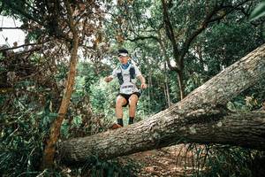 BIB: 
                            <button type="button" onclick="openModal(25548468)" class="btn btn-primary btn-sm float-right btn-popup" data-toggle="modal" data-target=".modal-high-quality">
                        <i class="fas fa-shopping-cart"></i> Add to Cart
                    </button>
                                            <button type="button" onclick="isThisMe(25548468, true)" class="btn btn-success btn-sm float-right btn-popup btn-isme hidden" data-toggle="tooltip" data-placement="bottom" title="นี่คือรูปของคุณใช่ไหม คลิกที่นี่เพื่อเอาเข้าอัลบั้ม">
                        <i class="fas fa-plus"></i> Add to album
                    </button>
                    <button type="button" onclick="isThisMe(25548468, false)" class="btn btn-warning btn-sm float-right btn-popup btn-isnotme hidden">
                        <i class="fas fa-ban"></i> Remove from album
                    </button>