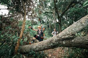 BIB: 
                            <button type="button" onclick="openModal(25542504)" class="btn btn-primary btn-sm float-right btn-popup" data-toggle="modal" data-target=".modal-high-quality">
                        <i class="fas fa-shopping-cart"></i> Add to Cart
                    </button>
                                            <button type="button" onclick="isThisMe(25542504, true)" class="btn btn-success btn-sm float-right btn-popup btn-isme hidden" data-toggle="tooltip" data-placement="bottom" title="นี่คือรูปของคุณใช่ไหม คลิกที่นี่เพื่อเอาเข้าอัลบั้ม">
                        <i class="fas fa-plus"></i> Add to album
                    </button>
                    <button type="button" onclick="isThisMe(25542504, false)" class="btn btn-warning btn-sm float-right btn-popup btn-isnotme hidden">
                        <i class="fas fa-ban"></i> Remove from album
                    </button>