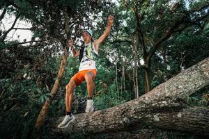 BIB: 
                            <button type="button" onclick="openModal(25525701)" class="btn btn-primary btn-sm float-right btn-popup" data-toggle="modal" data-target=".modal-high-quality">
                        <i class="fas fa-shopping-cart"></i> Add to Cart
                    </button>
                                            <button type="button" onclick="isThisMe(25525701, true)" class="btn btn-success btn-sm float-right btn-popup btn-isme hidden" data-toggle="tooltip" data-placement="bottom" title="นี่คือรูปของคุณใช่ไหม คลิกที่นี่เพื่อเอาเข้าอัลบั้ม">
                        <i class="fas fa-plus"></i> Add to album
                    </button>
                    <button type="button" onclick="isThisMe(25525701, false)" class="btn btn-warning btn-sm float-right btn-popup btn-isnotme hidden">
                        <i class="fas fa-ban"></i> Remove from album
                    </button>