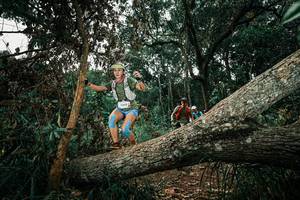 BIB: 
                            <button type="button" onclick="openModal(25550465)" class="btn btn-primary btn-sm float-right btn-popup" data-toggle="modal" data-target=".modal-high-quality">
                        <i class="fas fa-shopping-cart"></i> Add to Cart
                    </button>
                                            <button type="button" onclick="isThisMe(25550465, true)" class="btn btn-success btn-sm float-right btn-popup btn-isme hidden" data-toggle="tooltip" data-placement="bottom" title="นี่คือรูปของคุณใช่ไหม คลิกที่นี่เพื่อเอาเข้าอัลบั้ม">
                        <i class="fas fa-plus"></i> Add to album
                    </button>
                    <button type="button" onclick="isThisMe(25550465, false)" class="btn btn-warning btn-sm float-right btn-popup btn-isnotme hidden">
                        <i class="fas fa-ban"></i> Remove from album
                    </button>