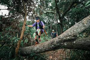 BIB: 
                            <button type="button" onclick="openModal(25543868)" class="btn btn-primary btn-sm float-right btn-popup" data-toggle="modal" data-target=".modal-high-quality">
                        <i class="fas fa-shopping-cart"></i> Add to Cart
                    </button>
                                            <button type="button" onclick="isThisMe(25543868, true)" class="btn btn-success btn-sm float-right btn-popup btn-isme hidden" data-toggle="tooltip" data-placement="bottom" title="นี่คือรูปของคุณใช่ไหม คลิกที่นี่เพื่อเอาเข้าอัลบั้ม">
                        <i class="fas fa-plus"></i> Add to album
                    </button>
                    <button type="button" onclick="isThisMe(25543868, false)" class="btn btn-warning btn-sm float-right btn-popup btn-isnotme hidden">
                        <i class="fas fa-ban"></i> Remove from album
                    </button>