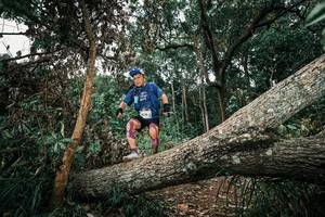 BIB: 
                            <button type="button" onclick="openModal(25543948)" class="btn btn-primary btn-sm float-right btn-popup" data-toggle="modal" data-target=".modal-high-quality">
                        <i class="fas fa-shopping-cart"></i> Add to Cart
                    </button>
                                            <button type="button" onclick="isThisMe(25543948, true)" class="btn btn-success btn-sm float-right btn-popup btn-isme hidden" data-toggle="tooltip" data-placement="bottom" title="นี่คือรูปของคุณใช่ไหม คลิกที่นี่เพื่อเอาเข้าอัลบั้ม">
                        <i class="fas fa-plus"></i> Add to album
                    </button>
                    <button type="button" onclick="isThisMe(25543948, false)" class="btn btn-warning btn-sm float-right btn-popup btn-isnotme hidden">
                        <i class="fas fa-ban"></i> Remove from album
                    </button>