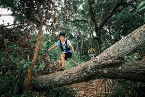 BIB: 
                            <button type="button" onclick="openModal(25546172)" class="btn btn-primary btn-sm float-right btn-popup" data-toggle="modal" data-target=".modal-high-quality">
                        <i class="fas fa-shopping-cart"></i> Add to Cart
                    </button>
                                            <button type="button" onclick="isThisMe(25546172, true)" class="btn btn-success btn-sm float-right btn-popup btn-isme hidden" data-toggle="tooltip" data-placement="bottom" title="นี่คือรูปของคุณใช่ไหม คลิกที่นี่เพื่อเอาเข้าอัลบั้ม">
                        <i class="fas fa-plus"></i> Add to album
                    </button>
                    <button type="button" onclick="isThisMe(25546172, false)" class="btn btn-warning btn-sm float-right btn-popup btn-isnotme hidden">
                        <i class="fas fa-ban"></i> Remove from album
                    </button>