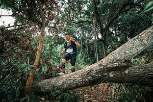 BIB: 
                            <button type="button" onclick="openModal(25539694)" class="btn btn-primary btn-sm float-right btn-popup" data-toggle="modal" data-target=".modal-high-quality">
                        <i class="fas fa-shopping-cart"></i> Add to Cart
                    </button>
                                            <button type="button" onclick="isThisMe(25539694, true)" class="btn btn-success btn-sm float-right btn-popup btn-isme hidden" data-toggle="tooltip" data-placement="bottom" title="นี่คือรูปของคุณใช่ไหม คลิกที่นี่เพื่อเอาเข้าอัลบั้ม">
                        <i class="fas fa-plus"></i> Add to album
                    </button>
                    <button type="button" onclick="isThisMe(25539694, false)" class="btn btn-warning btn-sm float-right btn-popup btn-isnotme hidden">
                        <i class="fas fa-ban"></i> Remove from album
                    </button>