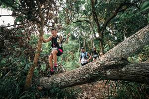 BIB: 
                            <button type="button" onclick="openModal(25533437)" class="btn btn-primary btn-sm float-right btn-popup" data-toggle="modal" data-target=".modal-high-quality">
                        <i class="fas fa-shopping-cart"></i> Add to Cart
                    </button>
                                            <button type="button" onclick="isThisMe(25533437, true)" class="btn btn-success btn-sm float-right btn-popup btn-isme hidden" data-toggle="tooltip" data-placement="bottom" title="นี่คือรูปของคุณใช่ไหม คลิกที่นี่เพื่อเอาเข้าอัลบั้ม">
                        <i class="fas fa-plus"></i> Add to album
                    </button>
                    <button type="button" onclick="isThisMe(25533437, false)" class="btn btn-warning btn-sm float-right btn-popup btn-isnotme hidden">
                        <i class="fas fa-ban"></i> Remove from album
                    </button>