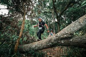 BIB: 
                            <button type="button" onclick="openModal(25540094)" class="btn btn-primary btn-sm float-right btn-popup" data-toggle="modal" data-target=".modal-high-quality">
                        <i class="fas fa-shopping-cart"></i> Add to Cart
                    </button>
                                            <button type="button" onclick="isThisMe(25540094, true)" class="btn btn-success btn-sm float-right btn-popup btn-isme hidden" data-toggle="tooltip" data-placement="bottom" title="นี่คือรูปของคุณใช่ไหม คลิกที่นี่เพื่อเอาเข้าอัลบั้ม">
                        <i class="fas fa-plus"></i> Add to album
                    </button>
                    <button type="button" onclick="isThisMe(25540094, false)" class="btn btn-warning btn-sm float-right btn-popup btn-isnotme hidden">
                        <i class="fas fa-ban"></i> Remove from album
                    </button>