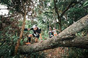 BIB: 
                            <button type="button" onclick="openModal(25545143)" class="btn btn-primary btn-sm float-right btn-popup" data-toggle="modal" data-target=".modal-high-quality">
                        <i class="fas fa-shopping-cart"></i> Add to Cart
                    </button>
                                            <button type="button" onclick="isThisMe(25545143, true)" class="btn btn-success btn-sm float-right btn-popup btn-isme hidden" data-toggle="tooltip" data-placement="bottom" title="นี่คือรูปของคุณใช่ไหม คลิกที่นี่เพื่อเอาเข้าอัลบั้ม">
                        <i class="fas fa-plus"></i> Add to album
                    </button>
                    <button type="button" onclick="isThisMe(25545143, false)" class="btn btn-warning btn-sm float-right btn-popup btn-isnotme hidden">
                        <i class="fas fa-ban"></i> Remove from album
                    </button>