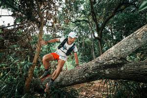 BIB: 
                            <button type="button" onclick="openModal(25549192)" class="btn btn-primary btn-sm float-right btn-popup" data-toggle="modal" data-target=".modal-high-quality">
                        <i class="fas fa-shopping-cart"></i> Add to Cart
                    </button>
                                            <button type="button" onclick="isThisMe(25549192, true)" class="btn btn-success btn-sm float-right btn-popup btn-isme hidden" data-toggle="tooltip" data-placement="bottom" title="นี่คือรูปของคุณใช่ไหม คลิกที่นี่เพื่อเอาเข้าอัลบั้ม">
                        <i class="fas fa-plus"></i> Add to album
                    </button>
                    <button type="button" onclick="isThisMe(25549192, false)" class="btn btn-warning btn-sm float-right btn-popup btn-isnotme hidden">
                        <i class="fas fa-ban"></i> Remove from album
                    </button>