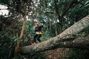 BIB: 
                            <button type="button" onclick="openModal(25544060)" class="btn btn-primary btn-sm float-right btn-popup" data-toggle="modal" data-target=".modal-high-quality">
                        <i class="fas fa-shopping-cart"></i> Add to Cart
                    </button>
                                            <button type="button" onclick="isThisMe(25544060, true)" class="btn btn-success btn-sm float-right btn-popup btn-isme hidden" data-toggle="tooltip" data-placement="bottom" title="นี่คือรูปของคุณใช่ไหม คลิกที่นี่เพื่อเอาเข้าอัลบั้ม">
                        <i class="fas fa-plus"></i> Add to album
                    </button>
                    <button type="button" onclick="isThisMe(25544060, false)" class="btn btn-warning btn-sm float-right btn-popup btn-isnotme hidden">
                        <i class="fas fa-ban"></i> Remove from album
                    </button>