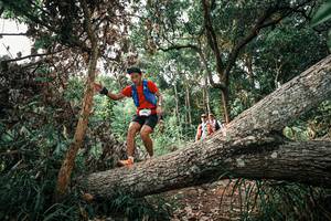 BIB: 
                            <button type="button" onclick="openModal(25532594)" class="btn btn-primary btn-sm float-right btn-popup" data-toggle="modal" data-target=".modal-high-quality">
                        <i class="fas fa-shopping-cart"></i> Add to Cart
                    </button>
                                            <button type="button" onclick="isThisMe(25532594, true)" class="btn btn-success btn-sm float-right btn-popup btn-isme hidden" data-toggle="tooltip" data-placement="bottom" title="นี่คือรูปของคุณใช่ไหม คลิกที่นี่เพื่อเอาเข้าอัลบั้ม">
                        <i class="fas fa-plus"></i> Add to album
                    </button>
                    <button type="button" onclick="isThisMe(25532594, false)" class="btn btn-warning btn-sm float-right btn-popup btn-isnotme hidden">
                        <i class="fas fa-ban"></i> Remove from album
                    </button>