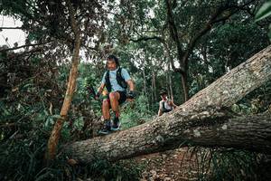 BIB: 
                            <button type="button" onclick="openModal(25535873)" class="btn btn-primary btn-sm float-right btn-popup" data-toggle="modal" data-target=".modal-high-quality">
                        <i class="fas fa-shopping-cart"></i> Add to Cart
                    </button>
                                            <button type="button" onclick="isThisMe(25535873, true)" class="btn btn-success btn-sm float-right btn-popup btn-isme hidden" data-toggle="tooltip" data-placement="bottom" title="นี่คือรูปของคุณใช่ไหม คลิกที่นี่เพื่อเอาเข้าอัลบั้ม">
                        <i class="fas fa-plus"></i> Add to album
                    </button>
                    <button type="button" onclick="isThisMe(25535873, false)" class="btn btn-warning btn-sm float-right btn-popup btn-isnotme hidden">
                        <i class="fas fa-ban"></i> Remove from album
                    </button>