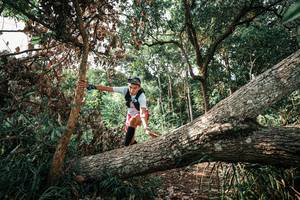 BIB: 
                            <button type="button" onclick="openModal(25534222)" class="btn btn-primary btn-sm float-right btn-popup" data-toggle="modal" data-target=".modal-high-quality">
                        <i class="fas fa-shopping-cart"></i> Add to Cart
                    </button>
                                            <button type="button" onclick="isThisMe(25534222, true)" class="btn btn-success btn-sm float-right btn-popup btn-isme hidden" data-toggle="tooltip" data-placement="bottom" title="นี่คือรูปของคุณใช่ไหม คลิกที่นี่เพื่อเอาเข้าอัลบั้ม">
                        <i class="fas fa-plus"></i> Add to album
                    </button>
                    <button type="button" onclick="isThisMe(25534222, false)" class="btn btn-warning btn-sm float-right btn-popup btn-isnotme hidden">
                        <i class="fas fa-ban"></i> Remove from album
                    </button>