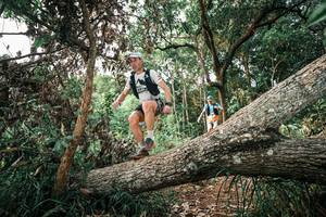 BIB: 
                            <button type="button" onclick="openModal(25529090)" class="btn btn-primary btn-sm float-right btn-popup" data-toggle="modal" data-target=".modal-high-quality">
                        <i class="fas fa-shopping-cart"></i> Add to Cart
                    </button>
                                            <button type="button" onclick="isThisMe(25529090, true)" class="btn btn-success btn-sm float-right btn-popup btn-isme hidden" data-toggle="tooltip" data-placement="bottom" title="นี่คือรูปของคุณใช่ไหม คลิกที่นี่เพื่อเอาเข้าอัลบั้ม">
                        <i class="fas fa-plus"></i> Add to album
                    </button>
                    <button type="button" onclick="isThisMe(25529090, false)" class="btn btn-warning btn-sm float-right btn-popup btn-isnotme hidden">
                        <i class="fas fa-ban"></i> Remove from album
                    </button>