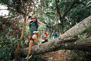 BIB: 
                            <button type="button" onclick="openModal(25545683)" class="btn btn-primary btn-sm float-right btn-popup" data-toggle="modal" data-target=".modal-high-quality">
                        <i class="fas fa-shopping-cart"></i> Add to Cart
                    </button>
                                            <button type="button" onclick="isThisMe(25545683, true)" class="btn btn-success btn-sm float-right btn-popup btn-isme hidden" data-toggle="tooltip" data-placement="bottom" title="นี่คือรูปของคุณใช่ไหม คลิกที่นี่เพื่อเอาเข้าอัลบั้ม">
                        <i class="fas fa-plus"></i> Add to album
                    </button>
                    <button type="button" onclick="isThisMe(25545683, false)" class="btn btn-warning btn-sm float-right btn-popup btn-isnotme hidden">
                        <i class="fas fa-ban"></i> Remove from album
                    </button>