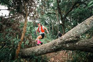 BIB: 
                            <button type="button" onclick="openModal(25544920)" class="btn btn-primary btn-sm float-right btn-popup" data-toggle="modal" data-target=".modal-high-quality">
                        <i class="fas fa-shopping-cart"></i> Add to Cart
                    </button>
                                            <button type="button" onclick="isThisMe(25544920, true)" class="btn btn-success btn-sm float-right btn-popup btn-isme hidden" data-toggle="tooltip" data-placement="bottom" title="นี่คือรูปของคุณใช่ไหม คลิกที่นี่เพื่อเอาเข้าอัลบั้ม">
                        <i class="fas fa-plus"></i> Add to album
                    </button>
                    <button type="button" onclick="isThisMe(25544920, false)" class="btn btn-warning btn-sm float-right btn-popup btn-isnotme hidden">
                        <i class="fas fa-ban"></i> Remove from album
                    </button>