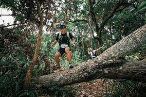 BIB: 
                            <button type="button" onclick="openModal(25531194)" class="btn btn-primary btn-sm float-right btn-popup" data-toggle="modal" data-target=".modal-high-quality">
                        <i class="fas fa-shopping-cart"></i> Add to Cart
                    </button>
                                            <button type="button" onclick="isThisMe(25531194, true)" class="btn btn-success btn-sm float-right btn-popup btn-isme hidden" data-toggle="tooltip" data-placement="bottom" title="นี่คือรูปของคุณใช่ไหม คลิกที่นี่เพื่อเอาเข้าอัลบั้ม">
                        <i class="fas fa-plus"></i> Add to album
                    </button>
                    <button type="button" onclick="isThisMe(25531194, false)" class="btn btn-warning btn-sm float-right btn-popup btn-isnotme hidden">
                        <i class="fas fa-ban"></i> Remove from album
                    </button>