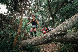 BIB: 
                            <button type="button" onclick="openModal(25530784)" class="btn btn-primary btn-sm float-right btn-popup" data-toggle="modal" data-target=".modal-high-quality">
                        <i class="fas fa-shopping-cart"></i> Add to Cart
                    </button>
                                            <button type="button" onclick="isThisMe(25530784, true)" class="btn btn-success btn-sm float-right btn-popup btn-isme hidden" data-toggle="tooltip" data-placement="bottom" title="นี่คือรูปของคุณใช่ไหม คลิกที่นี่เพื่อเอาเข้าอัลบั้ม">
                        <i class="fas fa-plus"></i> Add to album
                    </button>
                    <button type="button" onclick="isThisMe(25530784, false)" class="btn btn-warning btn-sm float-right btn-popup btn-isnotme hidden">
                        <i class="fas fa-ban"></i> Remove from album
                    </button>