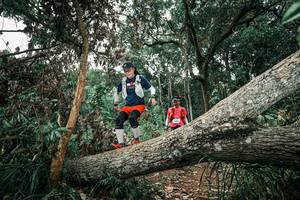 BIB: 
                            <button type="button" onclick="openModal(25541841)" class="btn btn-primary btn-sm float-right btn-popup" data-toggle="modal" data-target=".modal-high-quality">
                        <i class="fas fa-shopping-cart"></i> Add to Cart
                    </button>
                                            <button type="button" onclick="isThisMe(25541841, true)" class="btn btn-success btn-sm float-right btn-popup btn-isme hidden" data-toggle="tooltip" data-placement="bottom" title="นี่คือรูปของคุณใช่ไหม คลิกที่นี่เพื่อเอาเข้าอัลบั้ม">
                        <i class="fas fa-plus"></i> Add to album
                    </button>
                    <button type="button" onclick="isThisMe(25541841, false)" class="btn btn-warning btn-sm float-right btn-popup btn-isnotme hidden">
                        <i class="fas fa-ban"></i> Remove from album
                    </button>