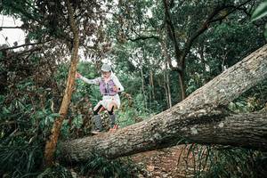 BIB: 
                            <button type="button" onclick="openModal(25541986)" class="btn btn-primary btn-sm float-right btn-popup" data-toggle="modal" data-target=".modal-high-quality">
                        <i class="fas fa-shopping-cart"></i> Add to Cart
                    </button>
                                            <button type="button" onclick="isThisMe(25541986, true)" class="btn btn-success btn-sm float-right btn-popup btn-isme hidden" data-toggle="tooltip" data-placement="bottom" title="นี่คือรูปของคุณใช่ไหม คลิกที่นี่เพื่อเอาเข้าอัลบั้ม">
                        <i class="fas fa-plus"></i> Add to album
                    </button>
                    <button type="button" onclick="isThisMe(25541986, false)" class="btn btn-warning btn-sm float-right btn-popup btn-isnotme hidden">
                        <i class="fas fa-ban"></i> Remove from album
                    </button>