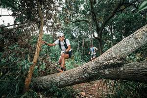 BIB: 
                            <button type="button" onclick="openModal(25542181)" class="btn btn-primary btn-sm float-right btn-popup" data-toggle="modal" data-target=".modal-high-quality">
                        <i class="fas fa-shopping-cart"></i> Add to Cart
                    </button>
                                            <button type="button" onclick="isThisMe(25542181, true)" class="btn btn-success btn-sm float-right btn-popup btn-isme hidden" data-toggle="tooltip" data-placement="bottom" title="นี่คือรูปของคุณใช่ไหม คลิกที่นี่เพื่อเอาเข้าอัลบั้ม">
                        <i class="fas fa-plus"></i> Add to album
                    </button>
                    <button type="button" onclick="isThisMe(25542181, false)" class="btn btn-warning btn-sm float-right btn-popup btn-isnotme hidden">
                        <i class="fas fa-ban"></i> Remove from album
                    </button>