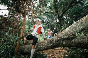 BIB: 
                            <button type="button" onclick="openModal(25549333)" class="btn btn-primary btn-sm float-right btn-popup" data-toggle="modal" data-target=".modal-high-quality">
                        <i class="fas fa-shopping-cart"></i> Add to Cart
                    </button>
                                            <button type="button" onclick="isThisMe(25549333, true)" class="btn btn-success btn-sm float-right btn-popup btn-isme hidden" data-toggle="tooltip" data-placement="bottom" title="นี่คือรูปของคุณใช่ไหม คลิกที่นี่เพื่อเอาเข้าอัลบั้ม">
                        <i class="fas fa-plus"></i> Add to album
                    </button>
                    <button type="button" onclick="isThisMe(25549333, false)" class="btn btn-warning btn-sm float-right btn-popup btn-isnotme hidden">
                        <i class="fas fa-ban"></i> Remove from album
                    </button>