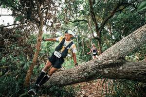 BIB: 
                            <button type="button" onclick="openModal(25529796)" class="btn btn-primary btn-sm float-right btn-popup" data-toggle="modal" data-target=".modal-high-quality">
                        <i class="fas fa-shopping-cart"></i> Add to Cart
                    </button>
                                            <button type="button" onclick="isThisMe(25529796, true)" class="btn btn-success btn-sm float-right btn-popup btn-isme hidden" data-toggle="tooltip" data-placement="bottom" title="นี่คือรูปของคุณใช่ไหม คลิกที่นี่เพื่อเอาเข้าอัลบั้ม">
                        <i class="fas fa-plus"></i> Add to album
                    </button>
                    <button type="button" onclick="isThisMe(25529796, false)" class="btn btn-warning btn-sm float-right btn-popup btn-isnotme hidden">
                        <i class="fas fa-ban"></i> Remove from album
                    </button>