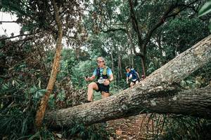 BIB: 
                            <button type="button" onclick="openModal(25541372)" class="btn btn-primary btn-sm float-right btn-popup" data-toggle="modal" data-target=".modal-high-quality">
                        <i class="fas fa-shopping-cart"></i> Add to Cart
                    </button>
                                            <button type="button" onclick="isThisMe(25541372, true)" class="btn btn-success btn-sm float-right btn-popup btn-isme hidden" data-toggle="tooltip" data-placement="bottom" title="นี่คือรูปของคุณใช่ไหม คลิกที่นี่เพื่อเอาเข้าอัลบั้ม">
                        <i class="fas fa-plus"></i> Add to album
                    </button>
                    <button type="button" onclick="isThisMe(25541372, false)" class="btn btn-warning btn-sm float-right btn-popup btn-isnotme hidden">
                        <i class="fas fa-ban"></i> Remove from album
                    </button>