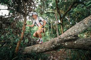 BIB: 
                            <button type="button" onclick="openModal(25527071)" class="btn btn-primary btn-sm float-right btn-popup" data-toggle="modal" data-target=".modal-high-quality">
                        <i class="fas fa-shopping-cart"></i> Add to Cart
                    </button>
                                            <button type="button" onclick="isThisMe(25527071, true)" class="btn btn-success btn-sm float-right btn-popup btn-isme hidden" data-toggle="tooltip" data-placement="bottom" title="นี่คือรูปของคุณใช่ไหม คลิกที่นี่เพื่อเอาเข้าอัลบั้ม">
                        <i class="fas fa-plus"></i> Add to album
                    </button>
                    <button type="button" onclick="isThisMe(25527071, false)" class="btn btn-warning btn-sm float-right btn-popup btn-isnotme hidden">
                        <i class="fas fa-ban"></i> Remove from album
                    </button>