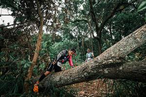 BIB: 
                            <button type="button" onclick="openModal(25546755)" class="btn btn-primary btn-sm float-right btn-popup" data-toggle="modal" data-target=".modal-high-quality">
                        <i class="fas fa-shopping-cart"></i> Add to Cart
                    </button>
                                            <button type="button" onclick="isThisMe(25546755, true)" class="btn btn-success btn-sm float-right btn-popup btn-isme hidden" data-toggle="tooltip" data-placement="bottom" title="นี่คือรูปของคุณใช่ไหม คลิกที่นี่เพื่อเอาเข้าอัลบั้ม">
                        <i class="fas fa-plus"></i> Add to album
                    </button>
                    <button type="button" onclick="isThisMe(25546755, false)" class="btn btn-warning btn-sm float-right btn-popup btn-isnotme hidden">
                        <i class="fas fa-ban"></i> Remove from album
                    </button>